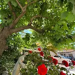 Acunto's Homes Agerola